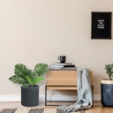 kante-15-7-dia-round-concrete-planter-modern-style-large-cylindrical-plant-pot-1-05-48309938b1a50b8e3556650895942ee6.jpg