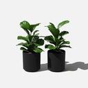 2-pack-veradek-demi-series-round-planter-for-porch-patio-backyard-durable-pl-10-a8fce7992e416b201d5b62055ed4a890.jpg