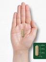 carlyle-fenugreek-capsules-300-count-07-1a8faf65fb34b1d86f1c85e7c1291743.jpg