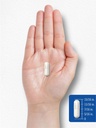 carlyle-pantothenic-acid-1000mg-100-capsules-essential-b5-vitamin-non-gm-07-cb53e4f3410446d155719002b7bd21fa.jpg