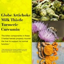 new-nordic-30-count-pack-of-1-active-liver-daily-liver-supplement-milk-thistle-05-99abeb046f0be4d043096ce7da957f03.jpg