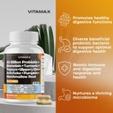 vitamax-60b-probiotic-digestive-gut-health-supplement-60-count-pack-of-1-02-349a721cb3e5df5215311797292b6b29.jpg