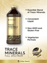 carlyle-trace-mineral-drops-16-fl-oz-full-spectrum-minerals-supplement-veg-04-91f47558b7904bbe9c2fed18e050465a.jpg