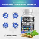 sea-moss-3000mg-black-seed-oil-2000mg-ashwagandha-03-3d6d0232552f9cdfa05570541fe97ba4.jpg