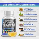 sea-moss-3000mg-black-seed-oil-2000mg-ashwagandha-05-706b5a32616d16dae5dd71148ab322a8.jpg