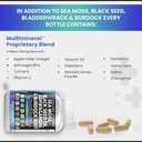 sea-moss-3000mg-black-seed-oil-2000mg-ashwagandha-06-0f0f8794e736f370e73f060687d1fb8b.jpg