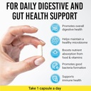 bigjohnlab-probiotics-30capsules-supply-women-men-60-billion-cfu-10-strains-04-e819ba97e8f2a3af697638936cd0cd3f.jpg