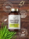 carlyle-grass-fed-beef-pancreas-550mg-200-capsules-desiccated-pasture-rais-05-4aaeaad3ef2db4babbbce24473ee105c.jpg