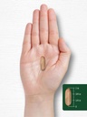 carlyle-lecithin-2400mg240-softgel-capsules-07-790176370a680ef518832d2b08afc030.jpg