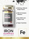 carlyle-iron-gummies-plus-b-complex-vitamins-60-vegan-gummies-grape-flavor-03-771b0a58d4802e0e064ede3da82c3853.jpg