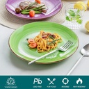 set-of-6-vancasso-bonita-dinner-plates-10-5-inch-ceramic-plates-microwave-ove-03-e60f7821805b1680f7015f207107f655.jpg