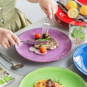 set-of-6-vancasso-bonita-dinner-plates-10-5-inch-ceramic-plates-microwave-ove-05-8cf2a16d53cf9126c0c95a99d1c450ce.jpg