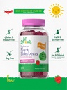 carlyle-elderberry-gummies-for-kids-120-count-zinc-and-vitamin-c-berry-fla-04-a5078dbb66f93f46ac55981567324f1f.jpg