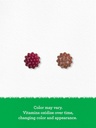 carlyle-elderberry-gummies-for-kids-120-count-zinc-and-vitamin-c-berry-fla-07-bdcaed7e754ddd7e91bd362d33c9881a.jpg