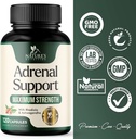 adrenal-support-120-count-supplements-cortisol-manager-with-ashwagandha-04-304ce68d50c20d49ac058fcd7fe1fd66.jpg
