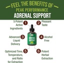 adrenal-support-60ml-supplements-to-restore-energy-from-adrenal-fatigue-02-e23d573a4aff6561c69d9f6d472d4043.jpg
