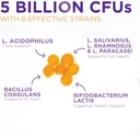 daily-probiotic-gummies-for-women-men-120-gummies-03-f5cdc24cefd11eb9926a72f370ef3432.jpg