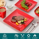 16-pieces-vancasso-series-soho-stoneware-dinnerware-sets-red-square-dinner-set-03-aa596ee36501a4ce91f05368ef548951.jpg