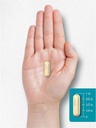 carlyle-chicken-sternum-cartilage-collagen-type-ii-3000mg-120-capsules-wit-07-e5a760a1325463c44fc14424f650cad6.jpg
