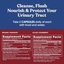 urinary-tract-supplement-duo-urinary-harmony-60-x-2-count-05-863329438fdeb363dc6c950c5f729a66.jpg