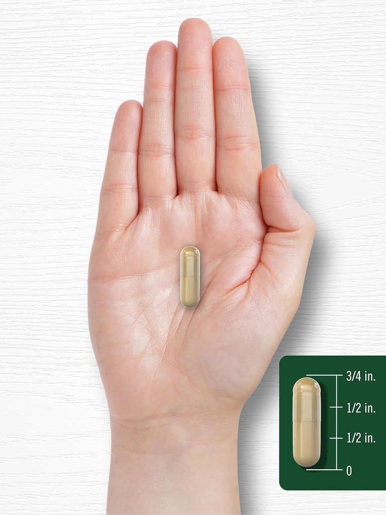 mucuna-with-ashwagandha-3000mg-250-capsules-mucuna-pruriens-supplement-v-08-db353c576ccb91b9d8f3640885174d1c.jpg