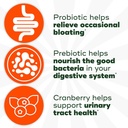 align-digestive-health-prebiotic-probiotic-supplement-gummies-50-gummies-02-2573fde6aa7821cc871fec224b5da0fa.jpg