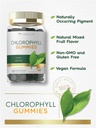 carlyle-chlorophyll-gummies-60-count-mixed-fruit-flavor-complex-vegan-supp-04-d014ea8d21023240faf712c28727bf75.jpg