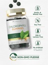 carlyle-chlorophyll-gummies-60-count-mixed-fruit-flavor-complex-vegan-supp-05-a700a14c03c2fb43f8ef73cf54bbbe78.jpg