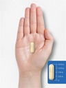 carlyle-multi-collagen-protein-capsules-2000mg-300-count-type-i-ii-iii-v-07-d4053877ec4e8bb2d723ae7d86555ce9.jpg