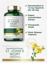carlyle-st-johns-wort-capsules-4800mg-300-count-03-bb4bfda7359b67ae908cfd12537ba5ee.jpg
