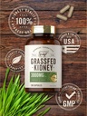 carlyle-grass-fed-beef-kidney-supplement-200-capsules-3000mg-pasture-raise-05-5865387eff1f56cabe75baf9f5e670b6.jpg