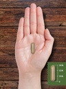 carlyle-grass-fed-beef-kidney-supplement-200-capsules-3000mg-pasture-raise-07-e6277445e1ed92fbb0ed1b6273b50516.jpg