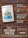 carlyle-multi-collagen-protein-powder-9oz-unflavored-types-i-ii-iii-v-03-3904db3e1edb17c7b46d66bd3be8e482.jpg