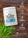 carlyle-multi-collagen-protein-powder-9oz-unflavored-types-i-ii-iii-v-04-1a4978a5a72e9128476d1bd1d1638e24.jpg