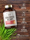 carlyle-grass-fed-beef-heart-supplement-3200mg-200-count-desiccated-pastur-04-e2f71cd2822af7911b69fa24395d5a50.jpg
