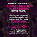 black-forest-5x-berberine-a-dihydroberberi-07-8d9400d425c775a202a4ca46043393cc.jpg