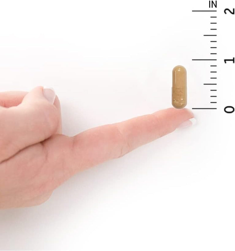raw-probiotics-100-billion-cfu-shelf-stable-30-capsules-05-d1e573b9eac91d1126d2ffab61a8a0e2.jpg