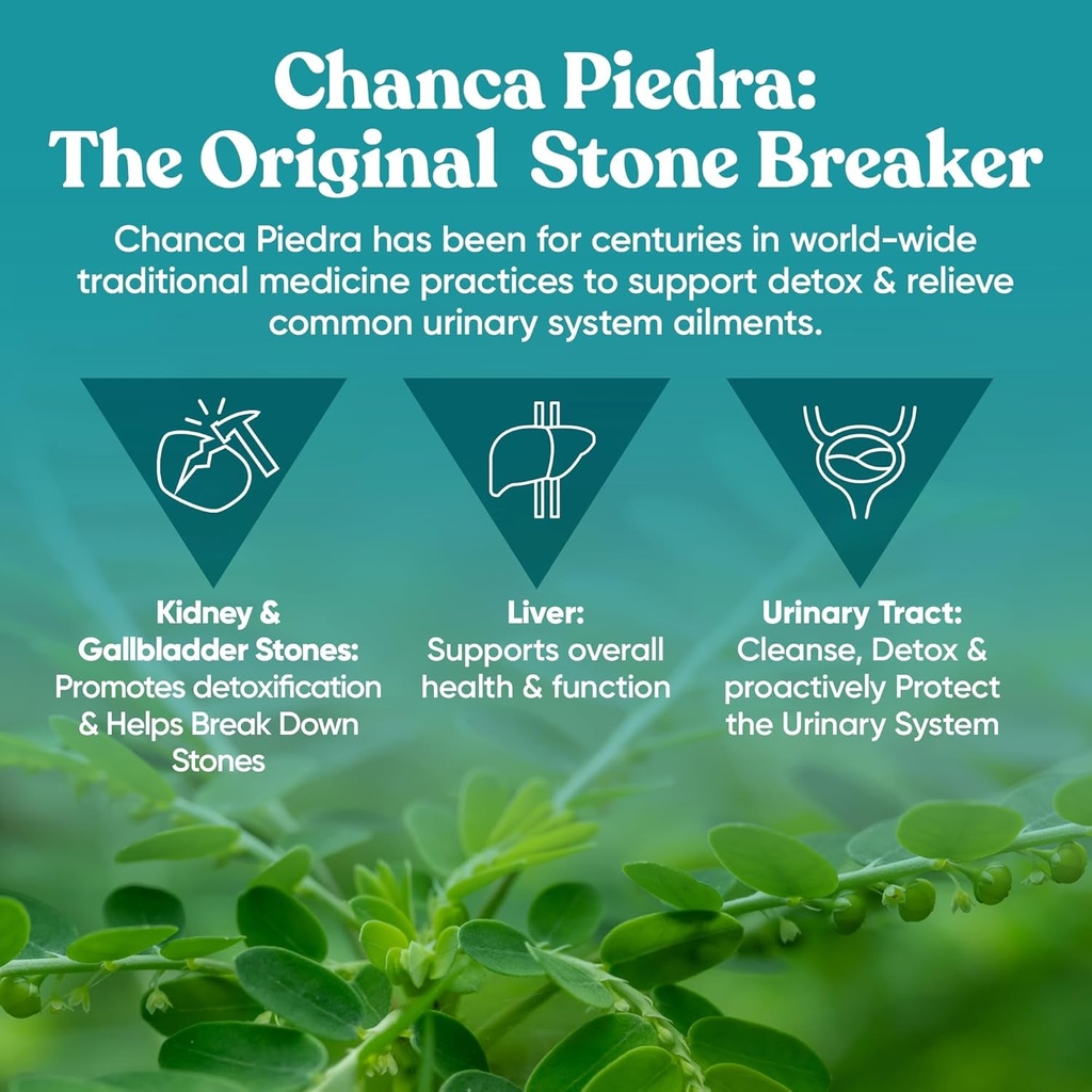 chanca-piedra-stone-breaker-natural-dissolver-kidney-cleanse-60-capsules-04-26afc44ccd8f4fe9522487c9ff8f3693.jpg