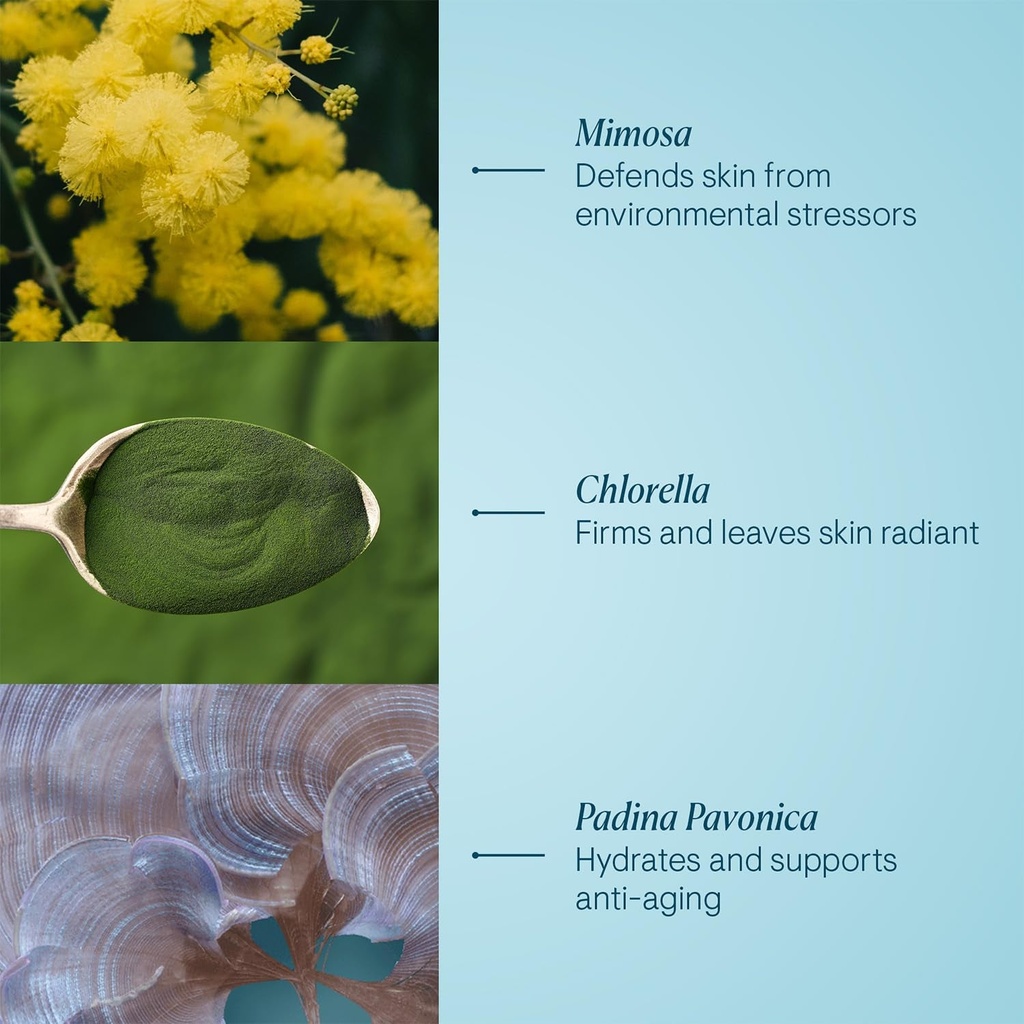 elemis-pro-collagen-marine-cream-lightweight-anti-wrinkle-daily-face-moisturizer-1-06-e27e9b68b23694c393a676fe9ef59d3b.jpg