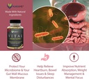 karamd-vital-restore-doctor-formulated-leaky-gut-repair-gastric-intestinal-05-518b823530d7c01c64a8e3820196aeef.jpg