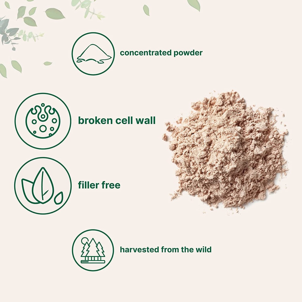 usda-organic-pure-pine-pollen-powder-6-ounce-supports-immune-system-health-bo-03-d1d966a594aca2d004fffdadded85421.jpg