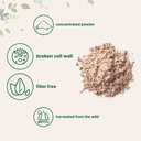 usda-organic-pure-pine-pollen-powder-6-ounce-supports-immune-system-health-bo-03-d1d966a594aca2d004fffdadded85421.jpg