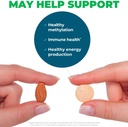 seeking-health-optimal-multivitamin-60-tablets-mens-vitamins-womens-vita-04-b90aebd975a3ca5365e91171354d1247.jpg