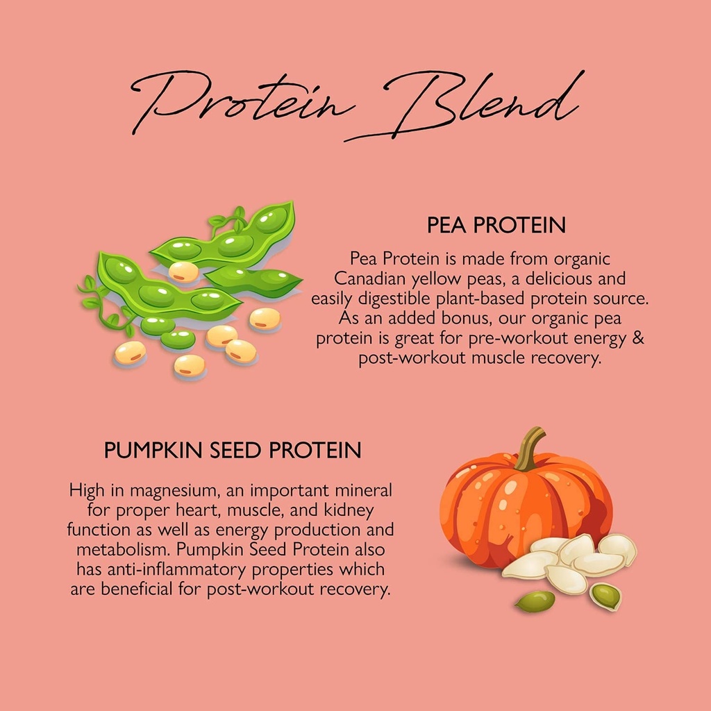 tone-it-up-organic-vegan-vanilla-protein-powder-for-women-100-pea-protein-sug-05-dbdeec308399fb6161e51760053bc3ad.jpg