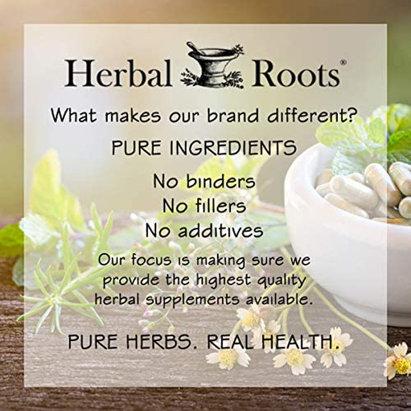 mortar-and-pestle-herbs-black-elderberry-capsules-extra-strength-4-300-mg-m-03-f5ab89a608ebac3131e4d94caae606f3.jpg