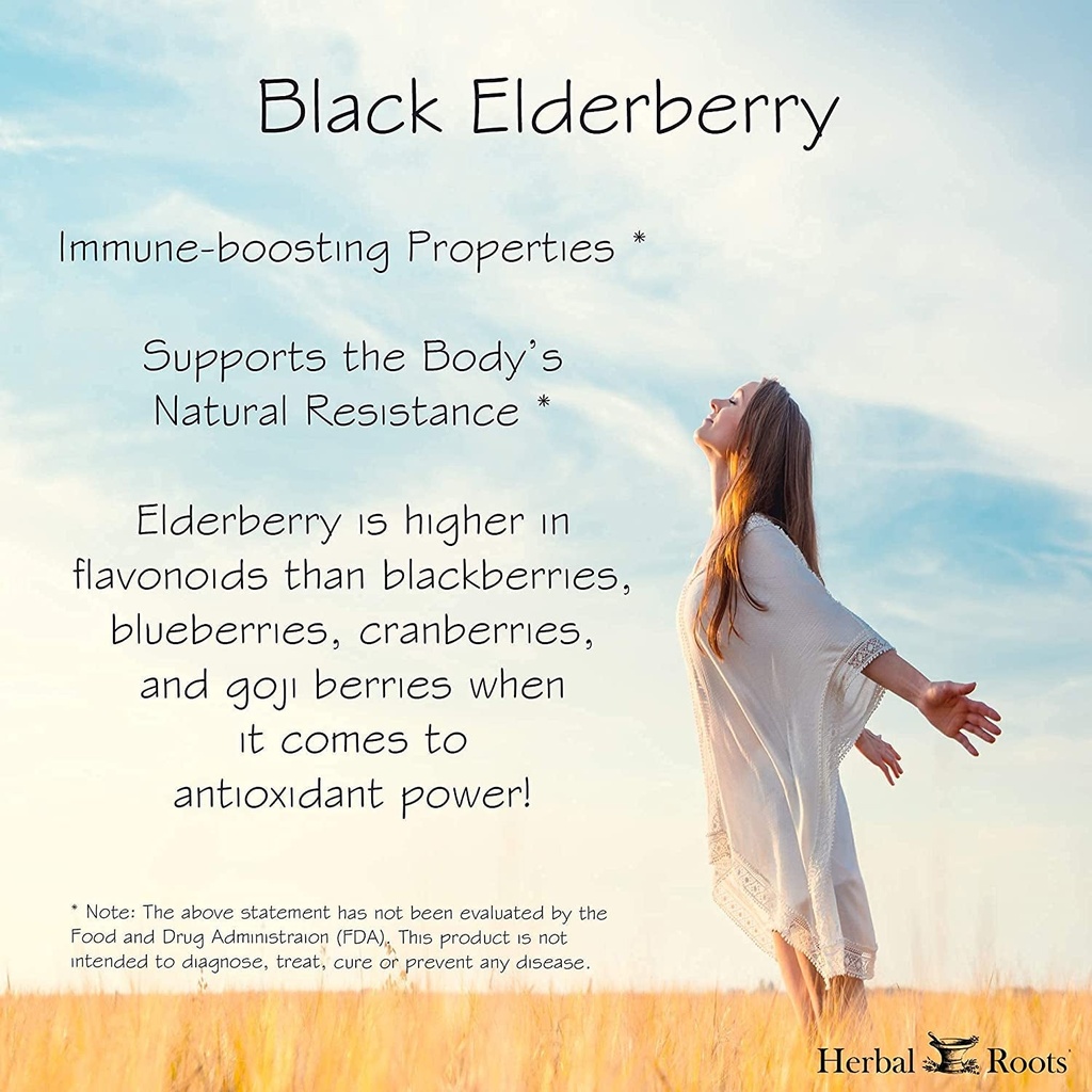 mortar-and-pestle-herbs-black-elderberry-capsules-extra-strength-4-300-mg-m-05-80cbab338657cf7462fb13a26a2277c5.jpg