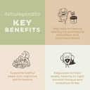 kos-organic-ashwagandha-powder-pure-ashwagandha-root-powder-natural-anxiety-02-f54a3d9c0805be1f683bae72dd63aa14.jpg