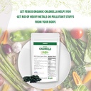 febico-pure-organic-chlorella-tablets-500-counts-rich-ingredients-vi-04-885715a4c6e7ffb88d78d1c277d8e3eb.jpg