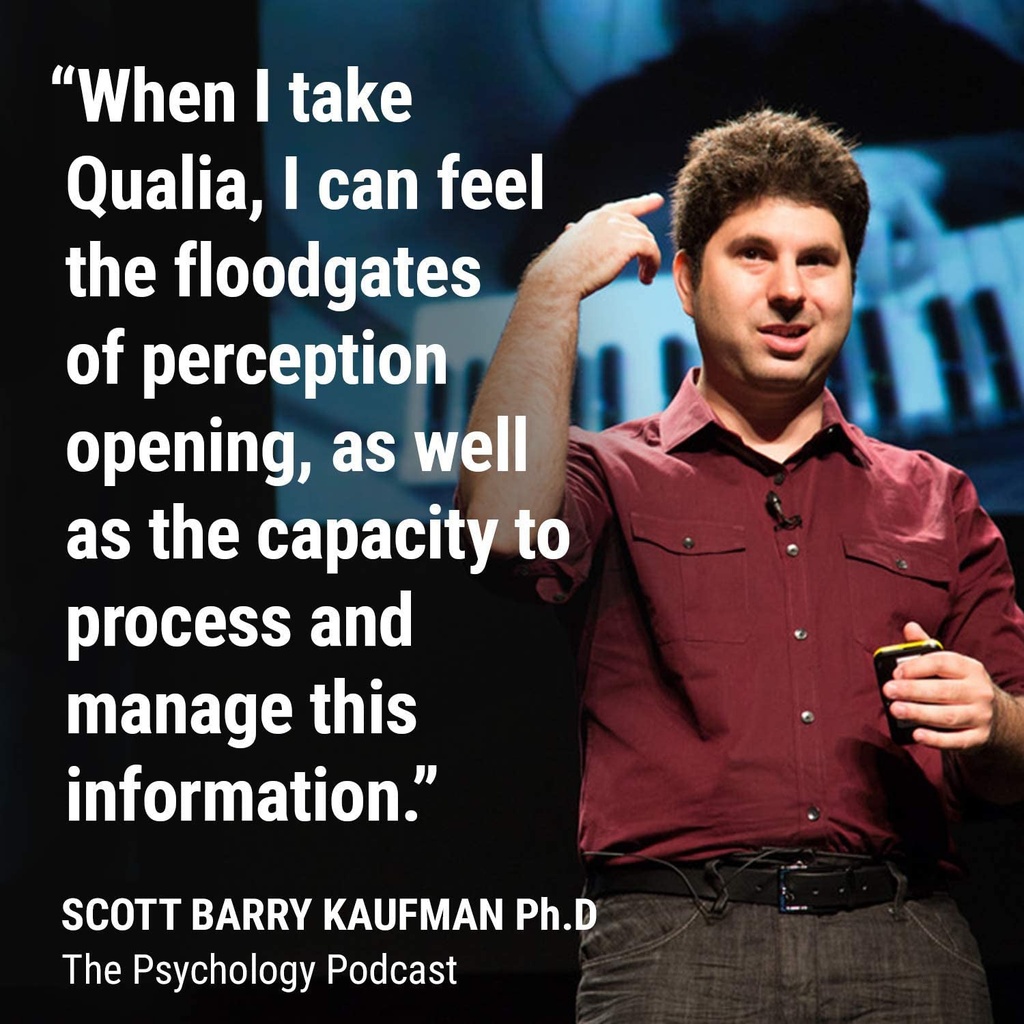 qualia-by-neurohacker-collective-the-most-comprehensive-nootropic-stack-designe-06-143bef6050b52a8e386fc4b34dcd3617.jpg