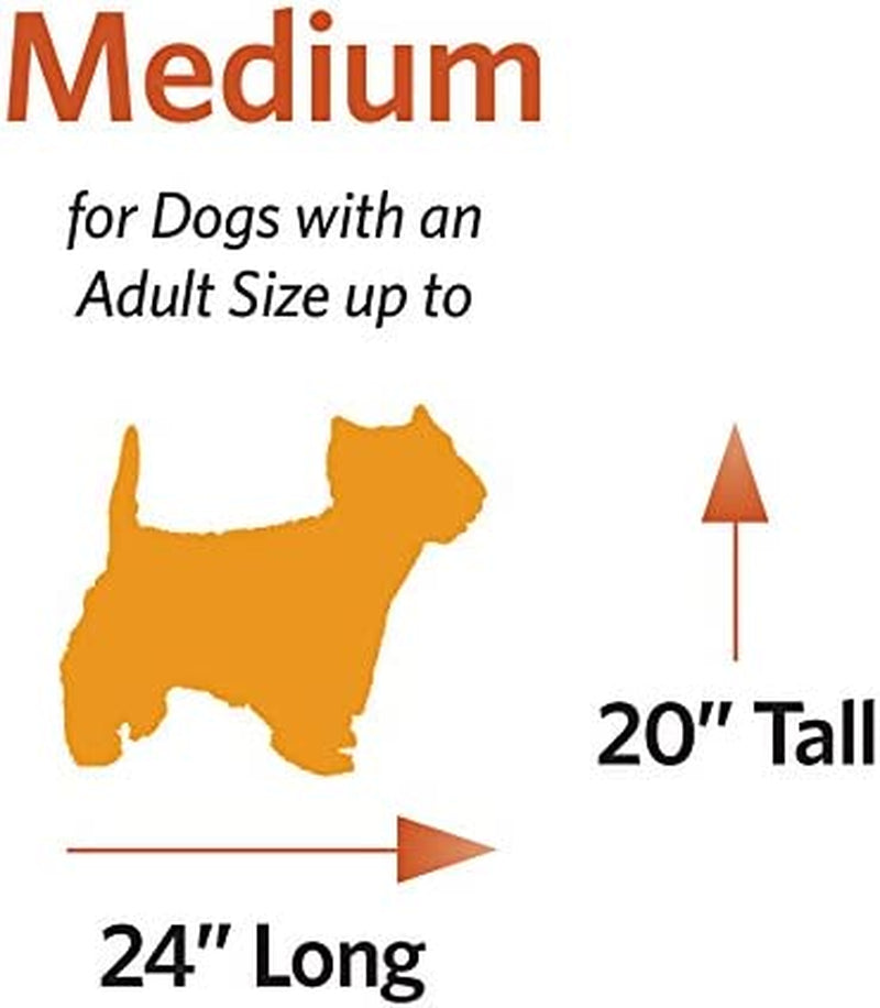 midwest-homes-for-pets-newly-enhanced-double-door-icrate-dog-crate-leak-proof-p-10-95c4cf20414414ecb4fd695b20aa62fa.jpg